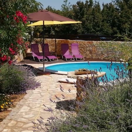 Apartments Zen Maslenica Exterior foto